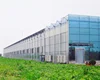 Complete PC sheet and glass assembled Greenhouse Project builder and manufacturer with hydroponics system growing strawberry