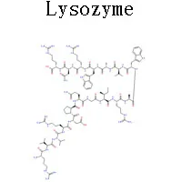 Mixed Feed additive liquid lysozyme Type II For Poultry E. coli Salpingitis Antibacterial anti-inflammatory Drugs