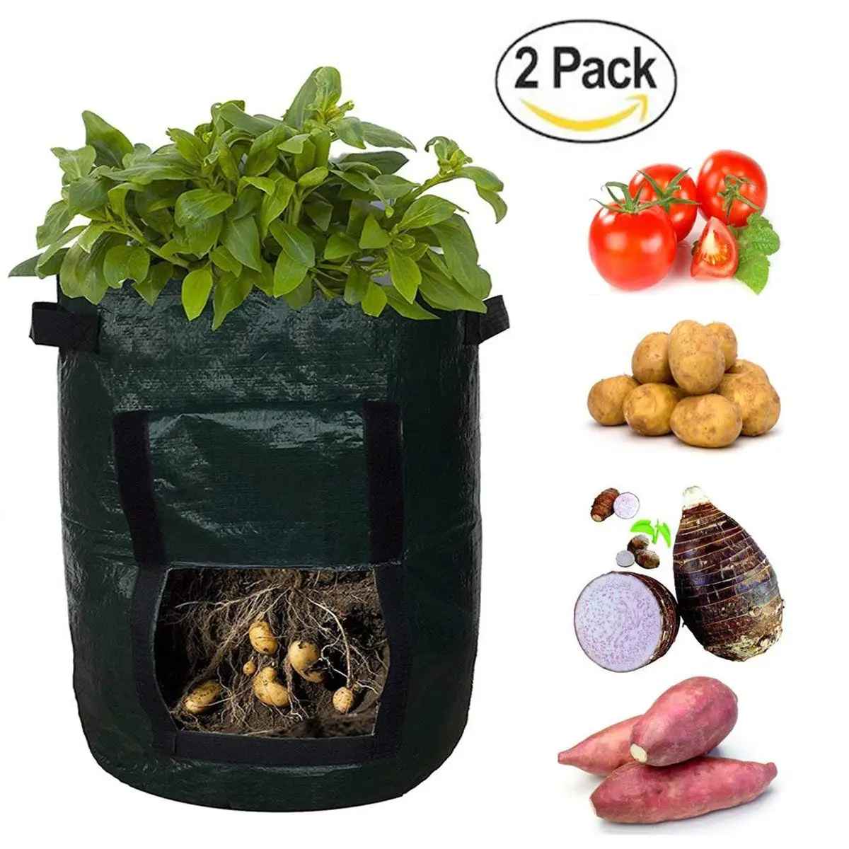 Growing beans in italy. Find grow. Will grow. Valerian root farm. How do.