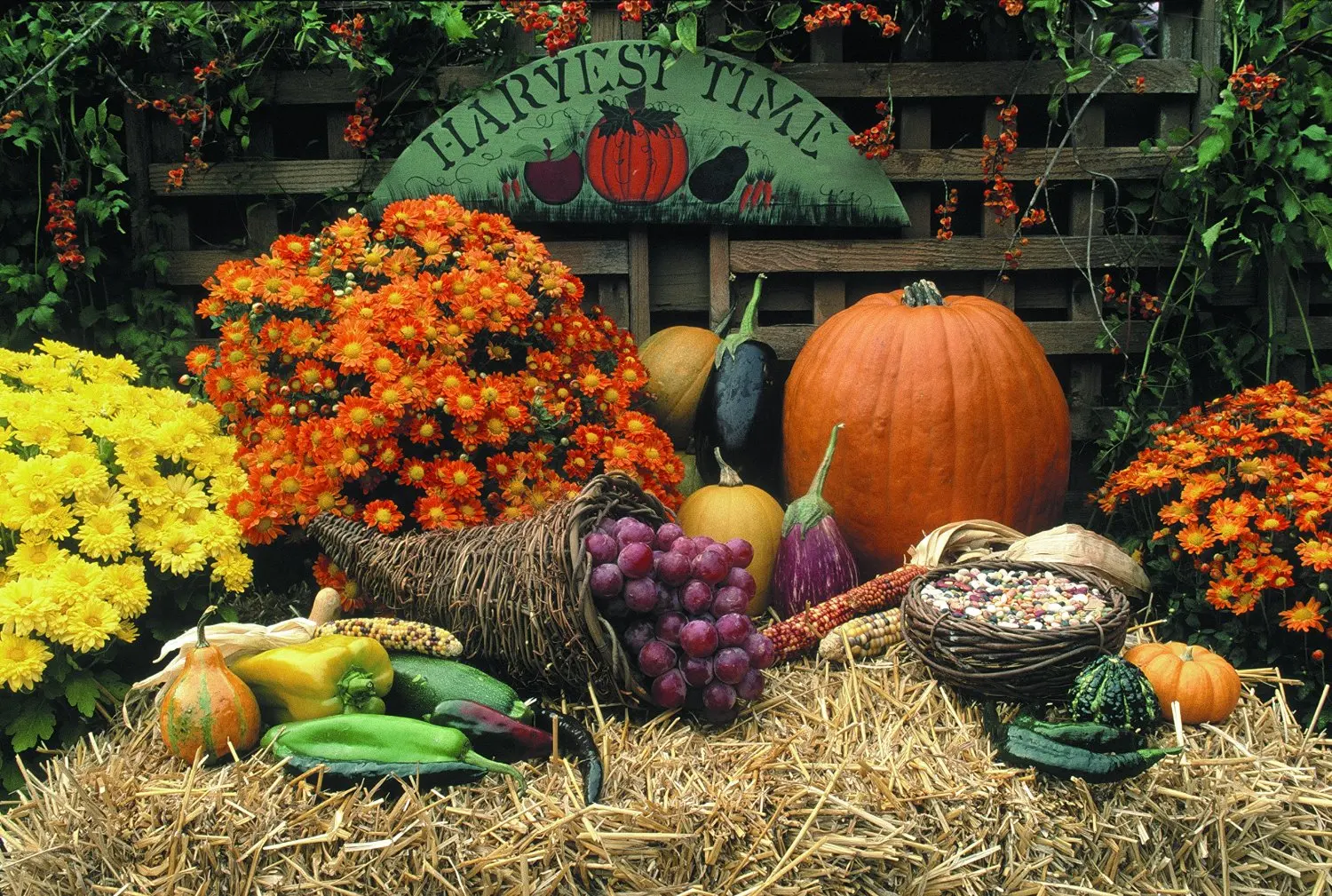 Buy Thanksgiving Greeting Cards - Harvest Time - HT100 ...