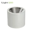 Professional popular big capacity ce rohs rgbw 1w 30w 40w 50w long light source surface mounted led downlight