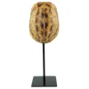 Resin Craft Animal Turtle Shell with Metal Base Home Decoration