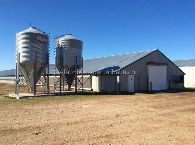 Free Designing Drawing Prefabricated Steel Structure Chicken House Steel Poultry House