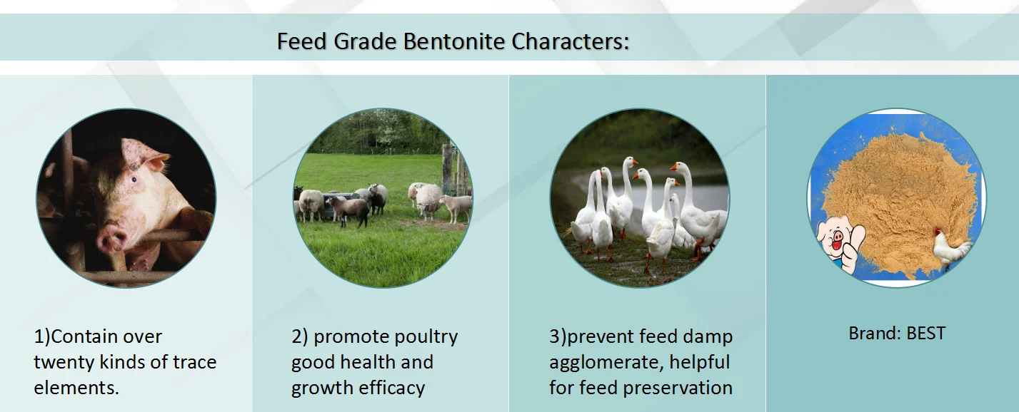 feed grade bentonite 1.png