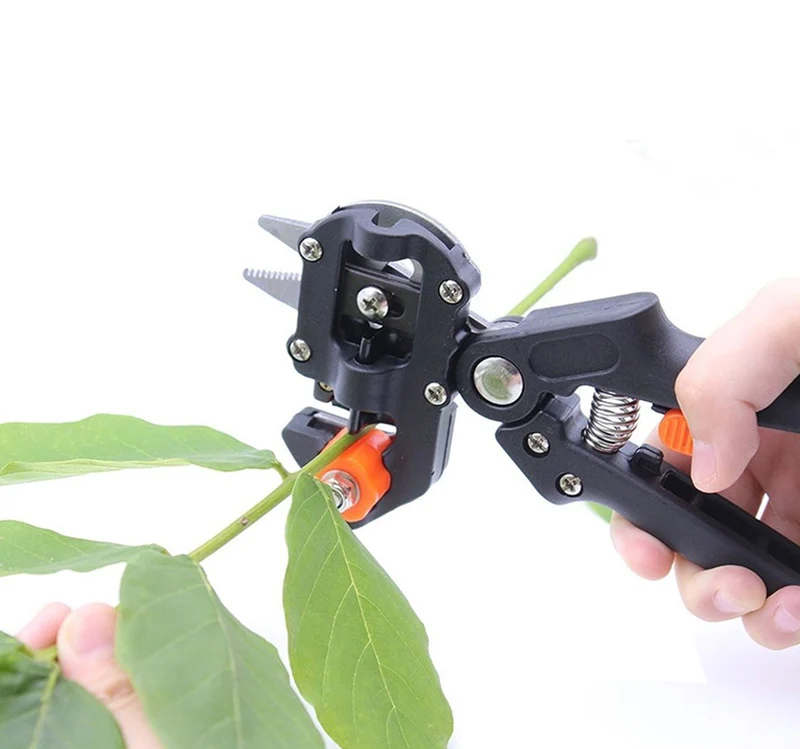 grafting machine (31).jpg