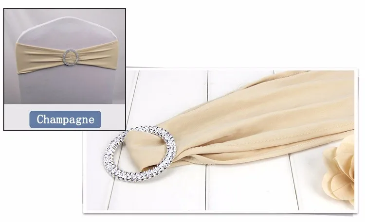 champagne sash.jpg