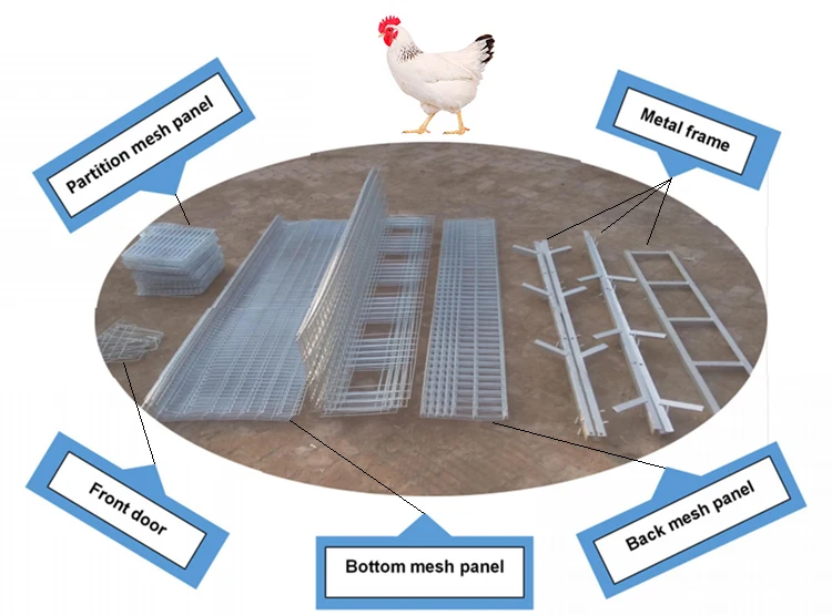 Chicken cage.jpg