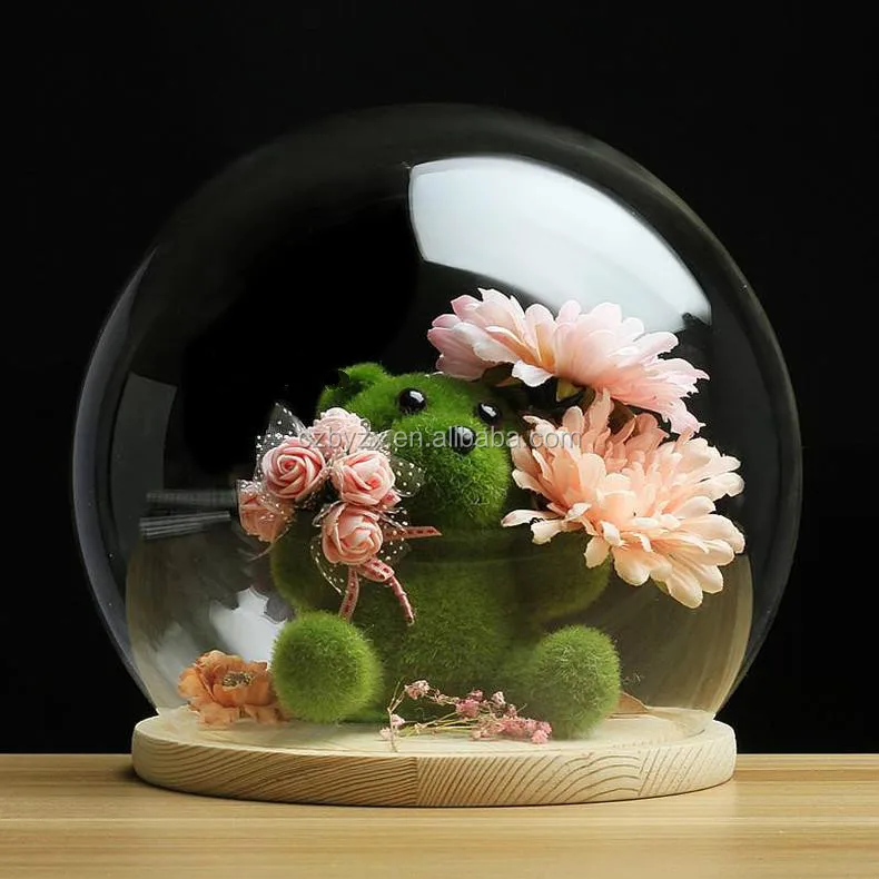 glass dome (23).jpg