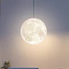 E27 3D Living Room Ceiling Lamp Moon Pendant Light