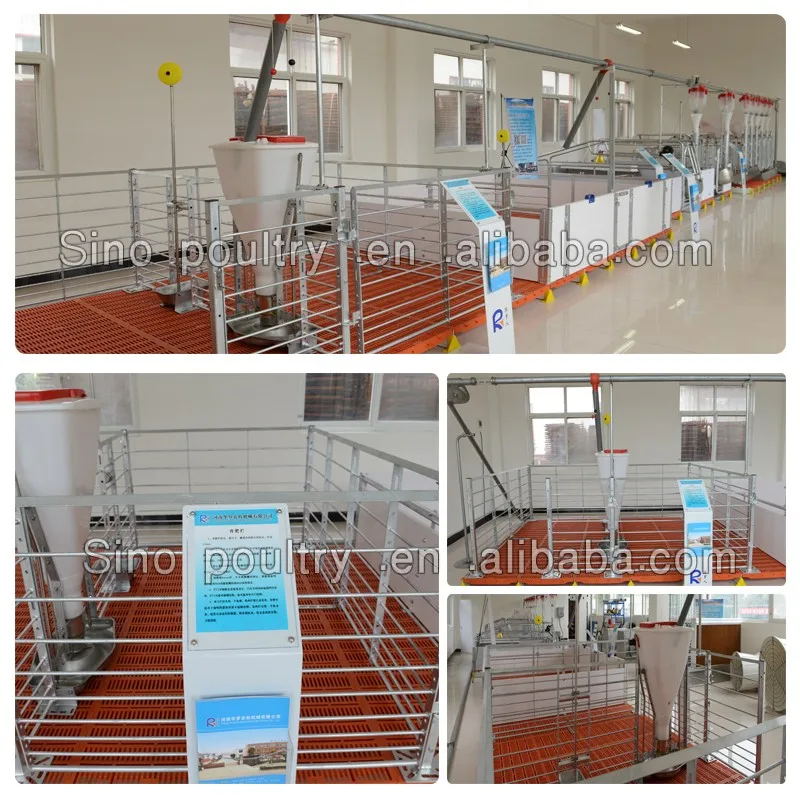 High Quality Galvanization Fattening Crate Fattening Pen For Pig Farm