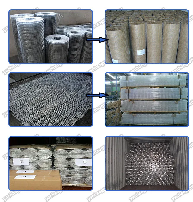 1/4" 1/2' 3/4" 1" 2" Hole 1*30m 1*25m Roll Galvanized Welded Wire Mesh