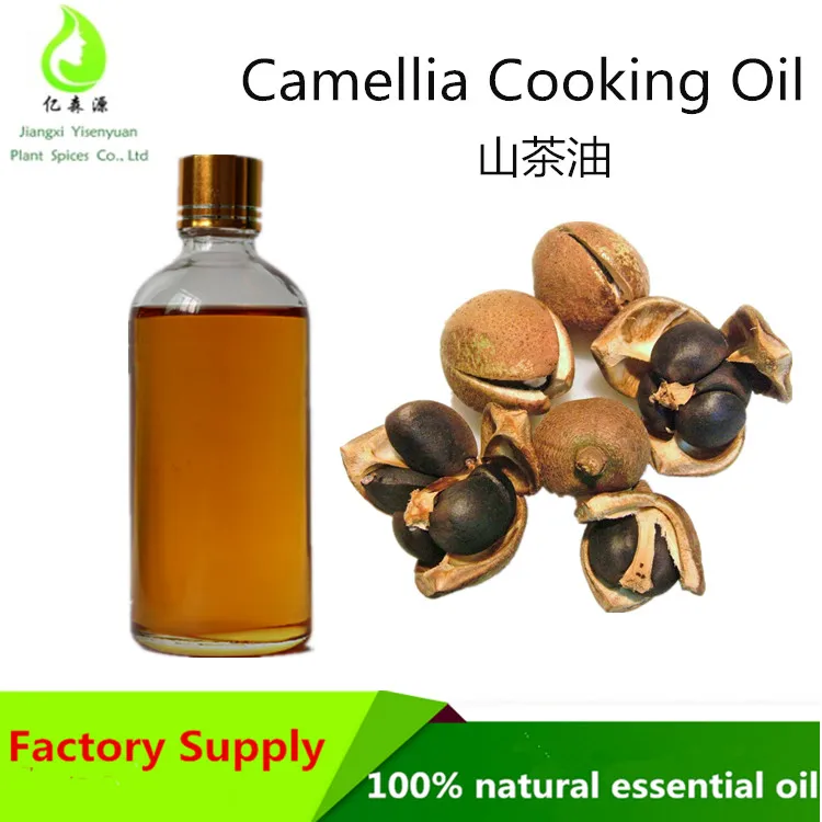 Edible Camellia Oil/ Cold Pressed Organic Camellia Oil - Buy Camellia