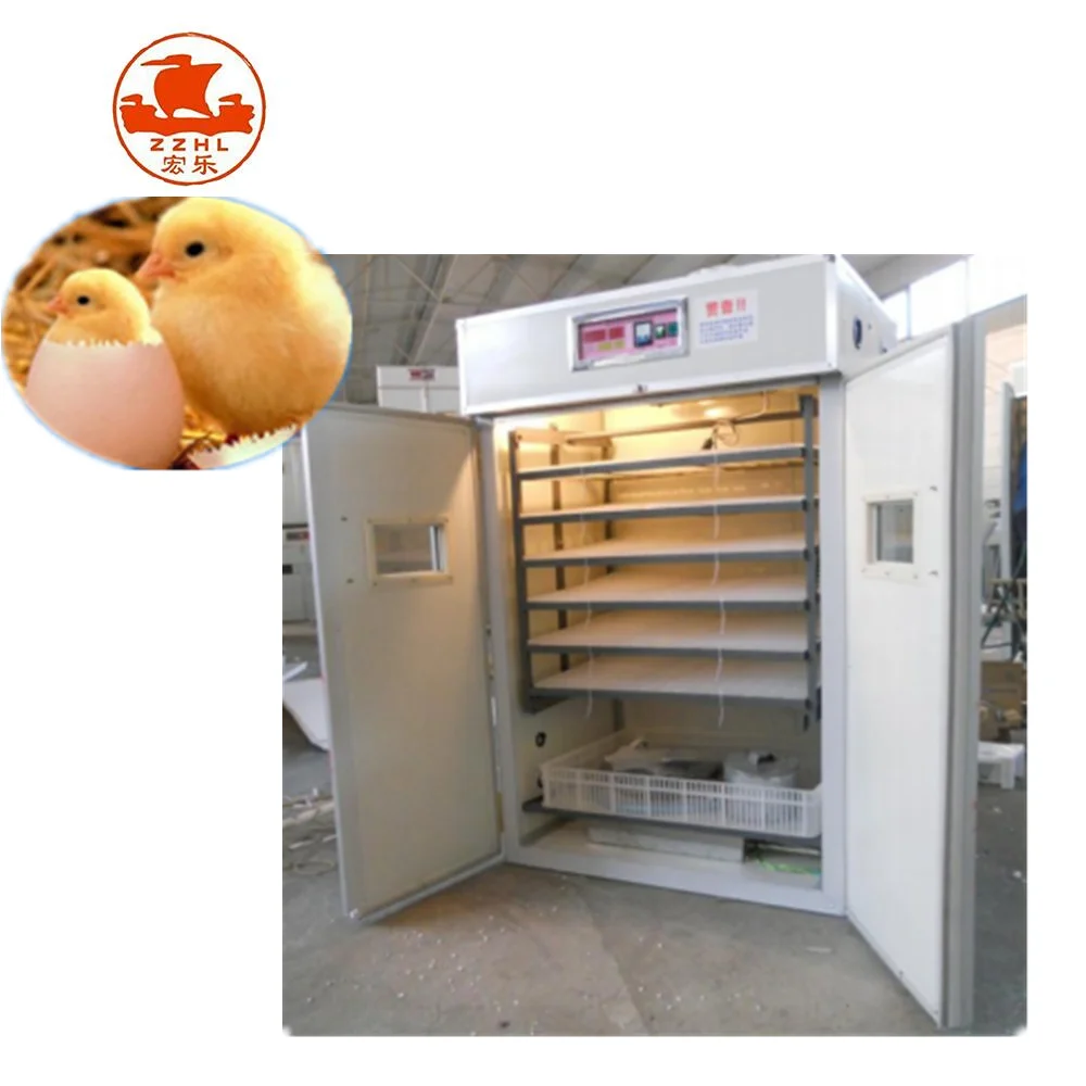 quail egg incubator