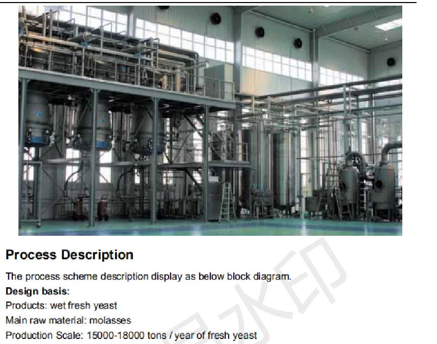 Active Year Yeast Production Line/ Lysine Production Line/bakery