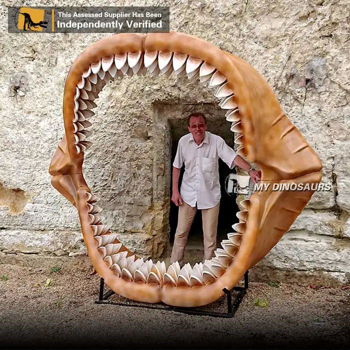 megalodon-jaw-fossil.jpg