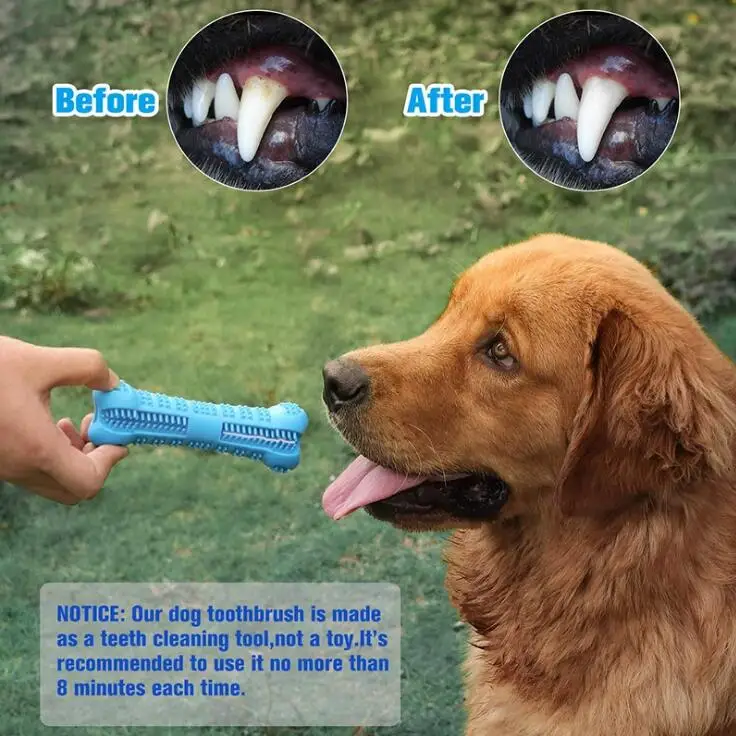 Soft Dog Treat Toothbrush Bone Shape Silicone Rubber Dog Toothbrush
