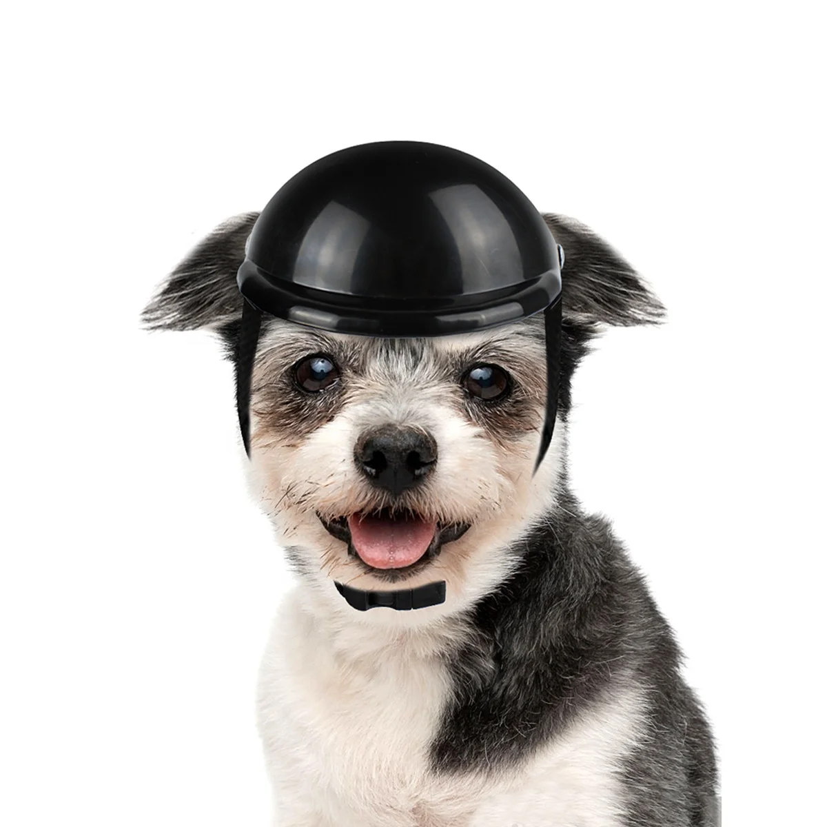 Großhandel Hunde Helme Kaufen Sie Die Besten Hunde Helme