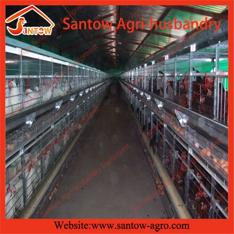 H type 5 tier chicken cage poultry cages battery cage for laying hens used