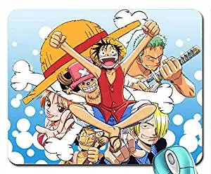 Nami Nico Robin Chopper Luffy Usopp Roronoa Zoro Sanji One Flickr