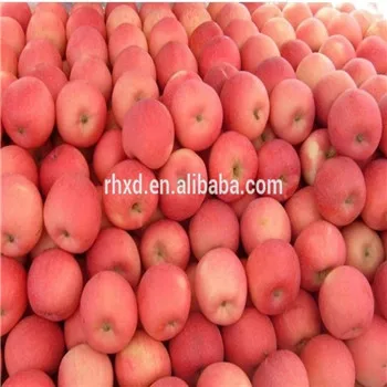 6000 Gambar Buah Apel Fuji HD Paling Baru 6000 Gambar Buah Apel Fuji HD Paling Baru