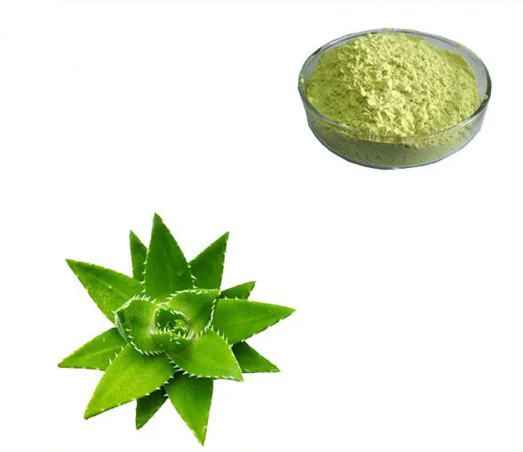 Halal Pure Natural Aloe Vera Extract Aloin 95 For Removing And
