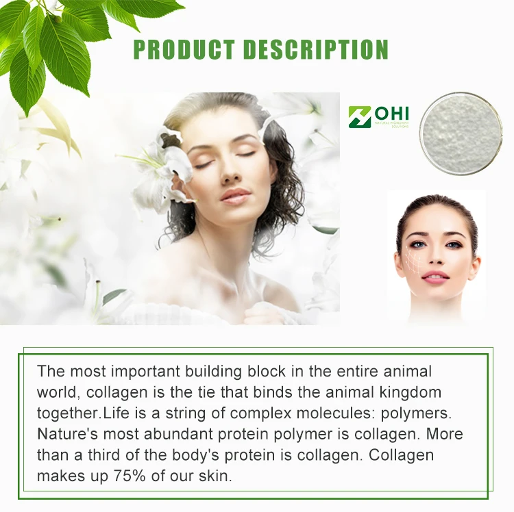 Collagen_01.jpg