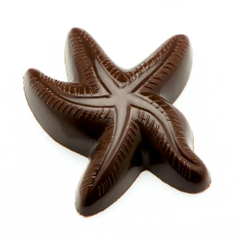 Шоколадка звезда. Шоколадная морская звезда. Конфеты морская звезда. Шоколад звезда. Морская звезда из шоколада.