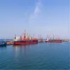sea freight consolidation and container shipping service from China to Netherlands with best operator and best rate