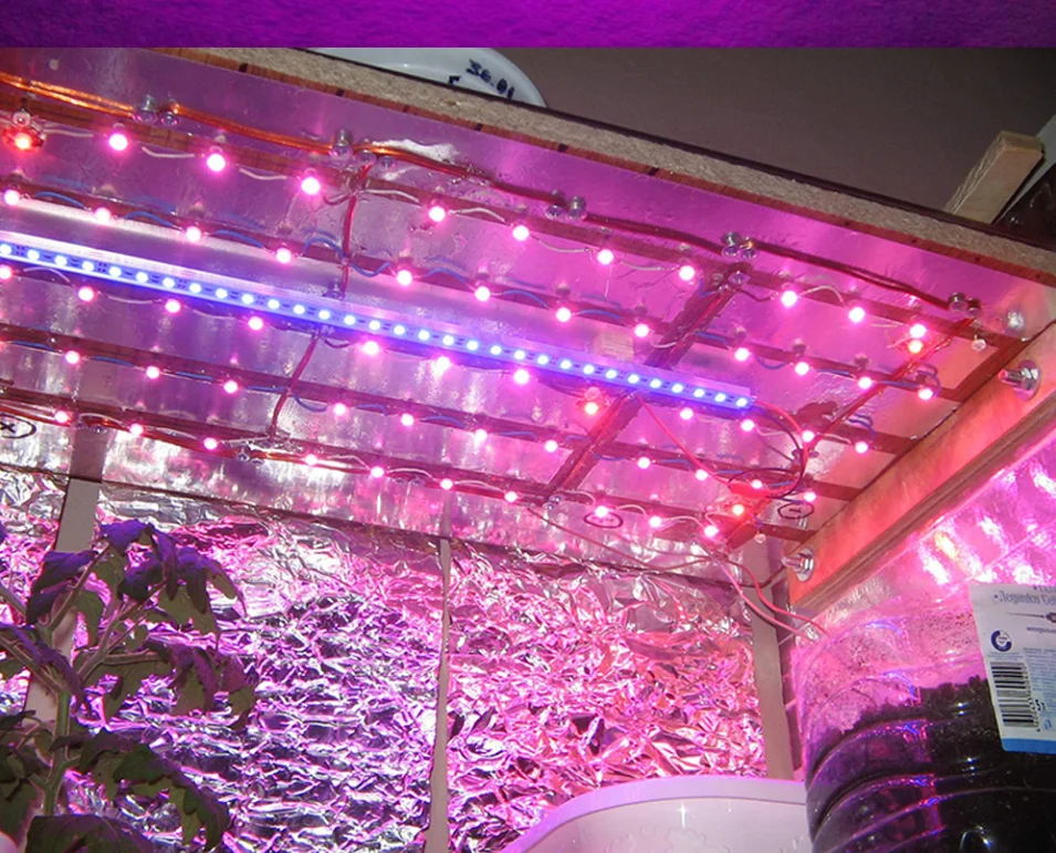 full spectrum 400nm~840nm cover plant all stage greenhouse 50w 100w Hydroponics LED Beads LED COB Grow led light
