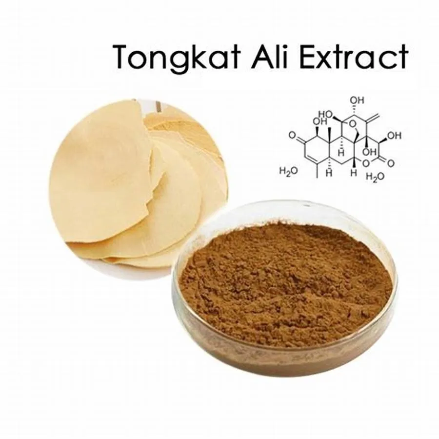 Tongkat Ali Powdertongkat Ali Extract 5012001 Buy Tongkat Ali Tongkat Ali Tongkat Ali Root 9262