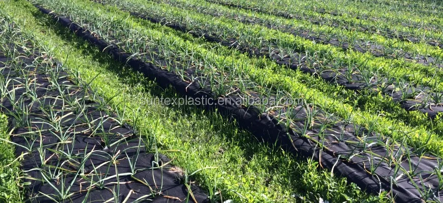 地面覆盖防杂草织物网 土壤稳定地面杂草停止布 除草洋葱防杂草网 Buy 地面覆盖防杂草织物网 土壤稳定地面杂草停止布 除草洋葱防杂草网