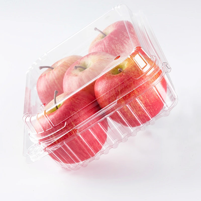 环保塑料透明一次性水果蔬菜宠物塑料容器翻盖苹果橙色包装