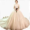 Modern V Neck Long Trail Tulle Bridal Gown Weeding Dress