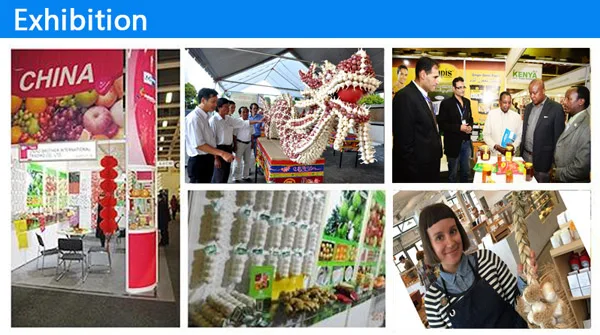 exhibition show1.jpg