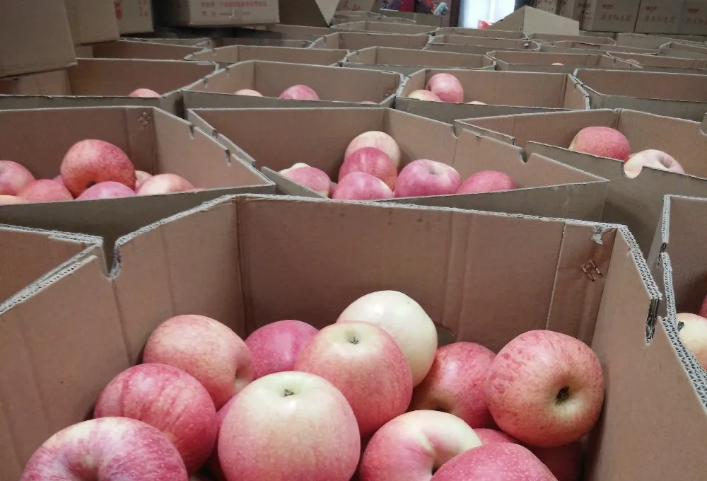 Lowerpriced Fuji Apples To The Philippines,19kg Carton Buy Fuji