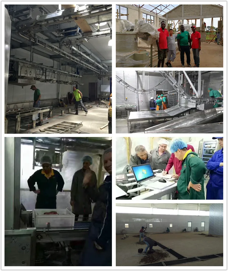 modern_halal_approved_cow_slaughter_house_with_turnkey_project