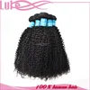 Wholesale cheap no shed no tangle 100% virgin Malaysian hair kinky curly crochet braids with human hair