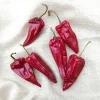 Hot sale new products high quality red dry yidu chili