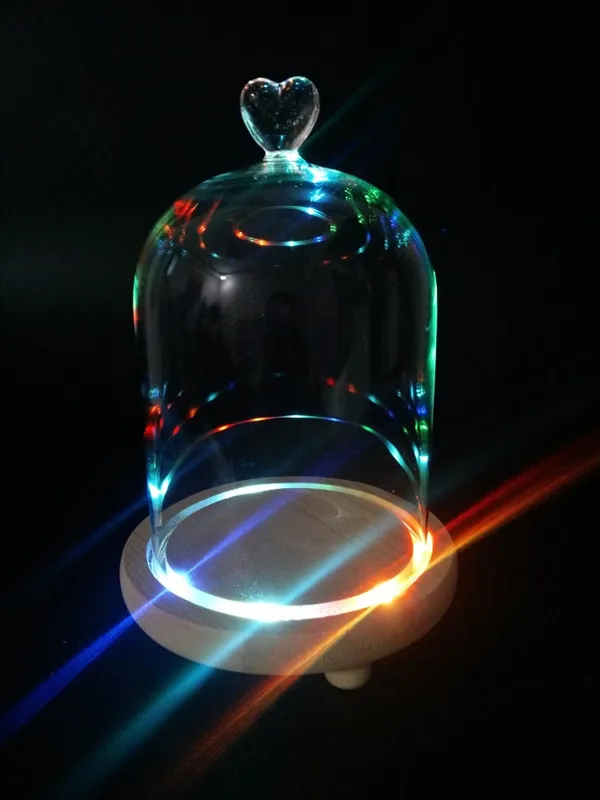 glass bell jar dome3