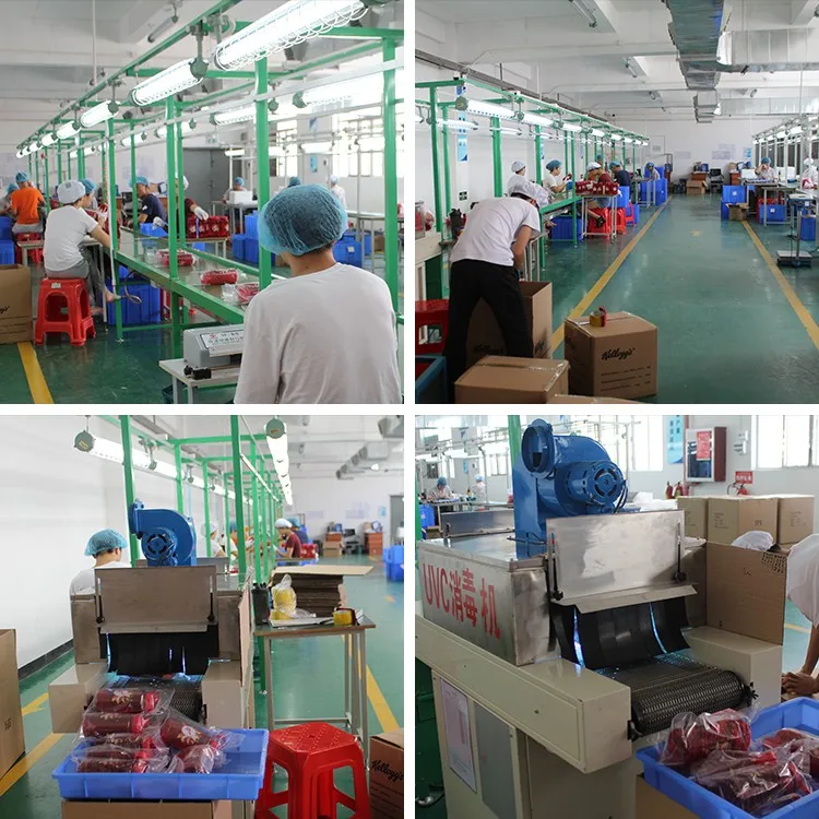 Factory offer Electric protein shaker with mixer powder