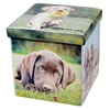 2019 PVC Printed Anima Shoe Toy Clothes Folding Storage Stool Ottoman