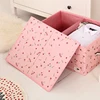 New Product Double Layer Fancy Cloth Storage Box/Foldable Storage Box