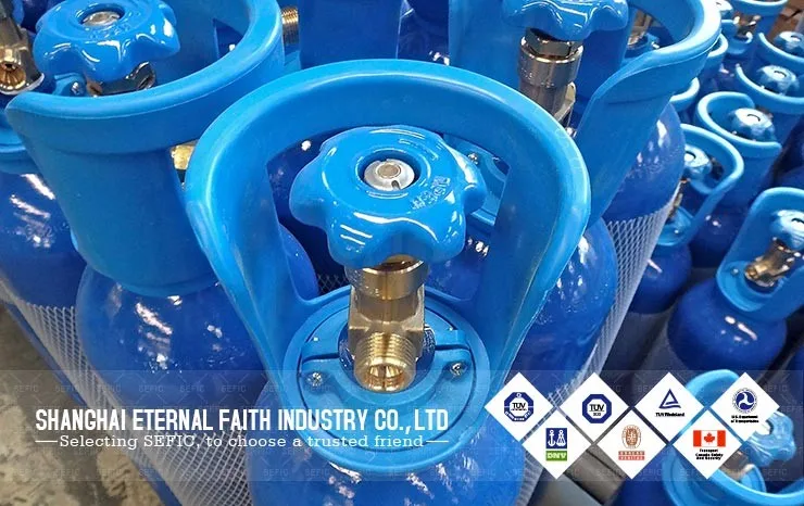 Gas cylinder valve 101