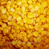 vacuum packed whole kernel sweet corn in tin