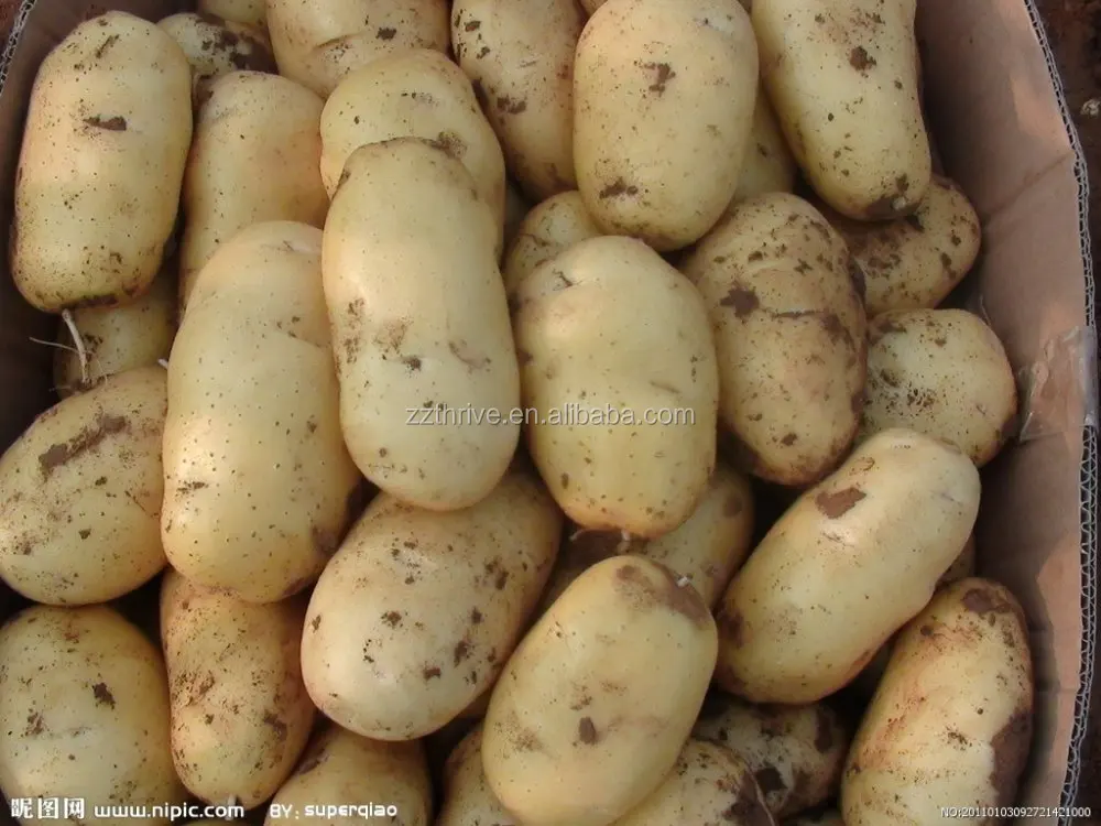 Industrial Potato Cutting Machine/potato Chips Cutter/potato Cutter For