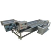 Fish,Shrimp and Meat Ice Coating Machine/Fish Ball Ice Glazing Machine/Fish Fillet Ice Glazing