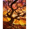 Diamond Painting Kits 5d Snow Scene Diy Big Tree Diamond Embroidery Paint With Diamonds Full Drill Mosaic Decor Gift