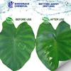Silicone spreading adjuvant wetting agent for agricultural chemicals
