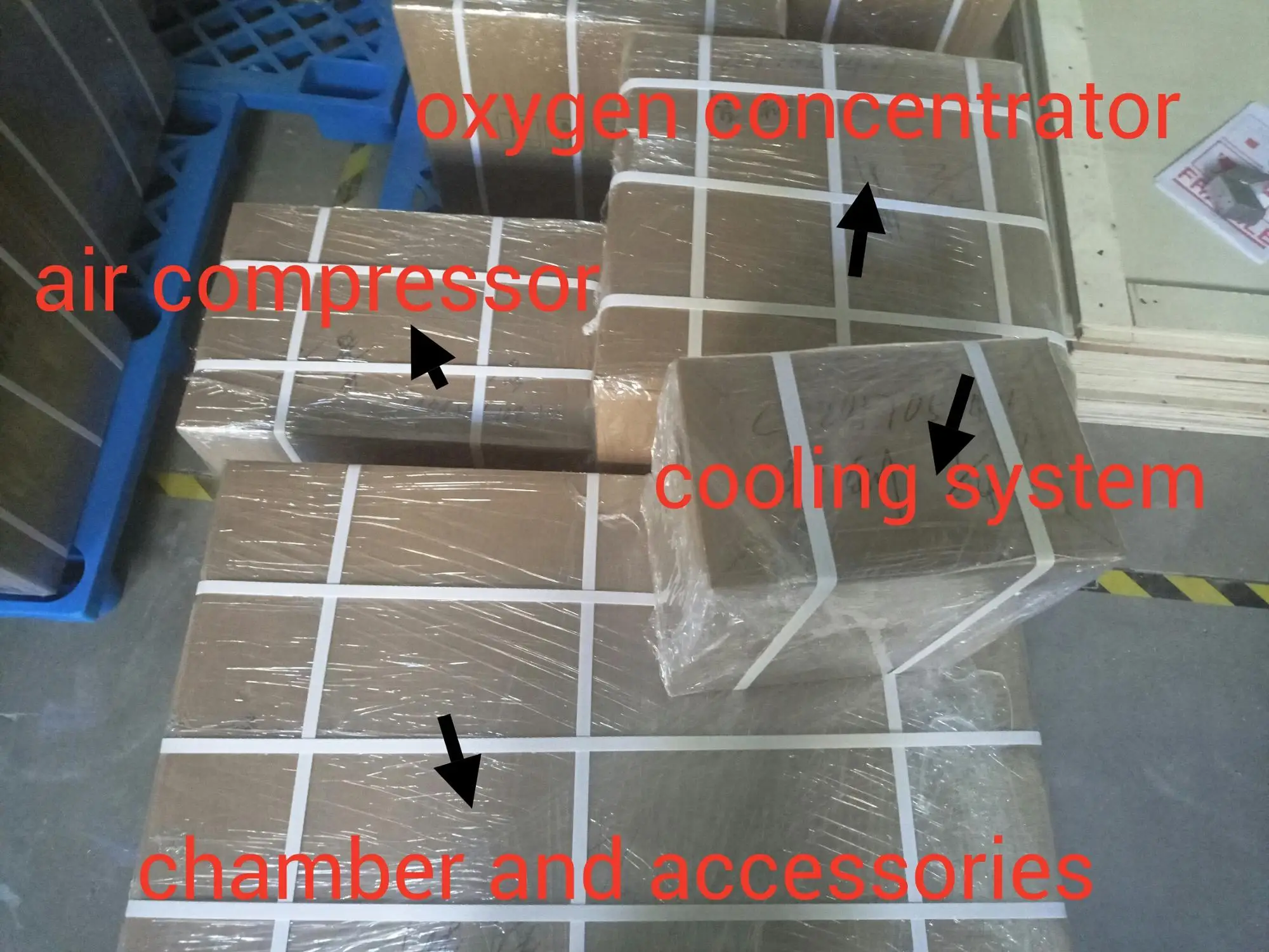 package into carton.jpg