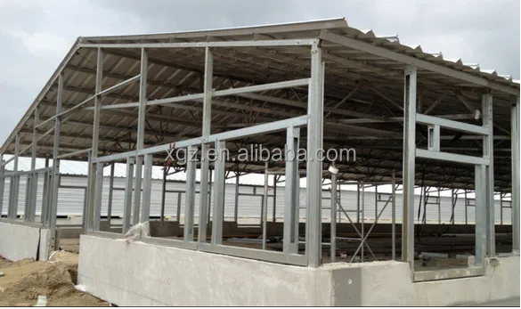 Professional design light steel structure poultry house design/chicken poultry house